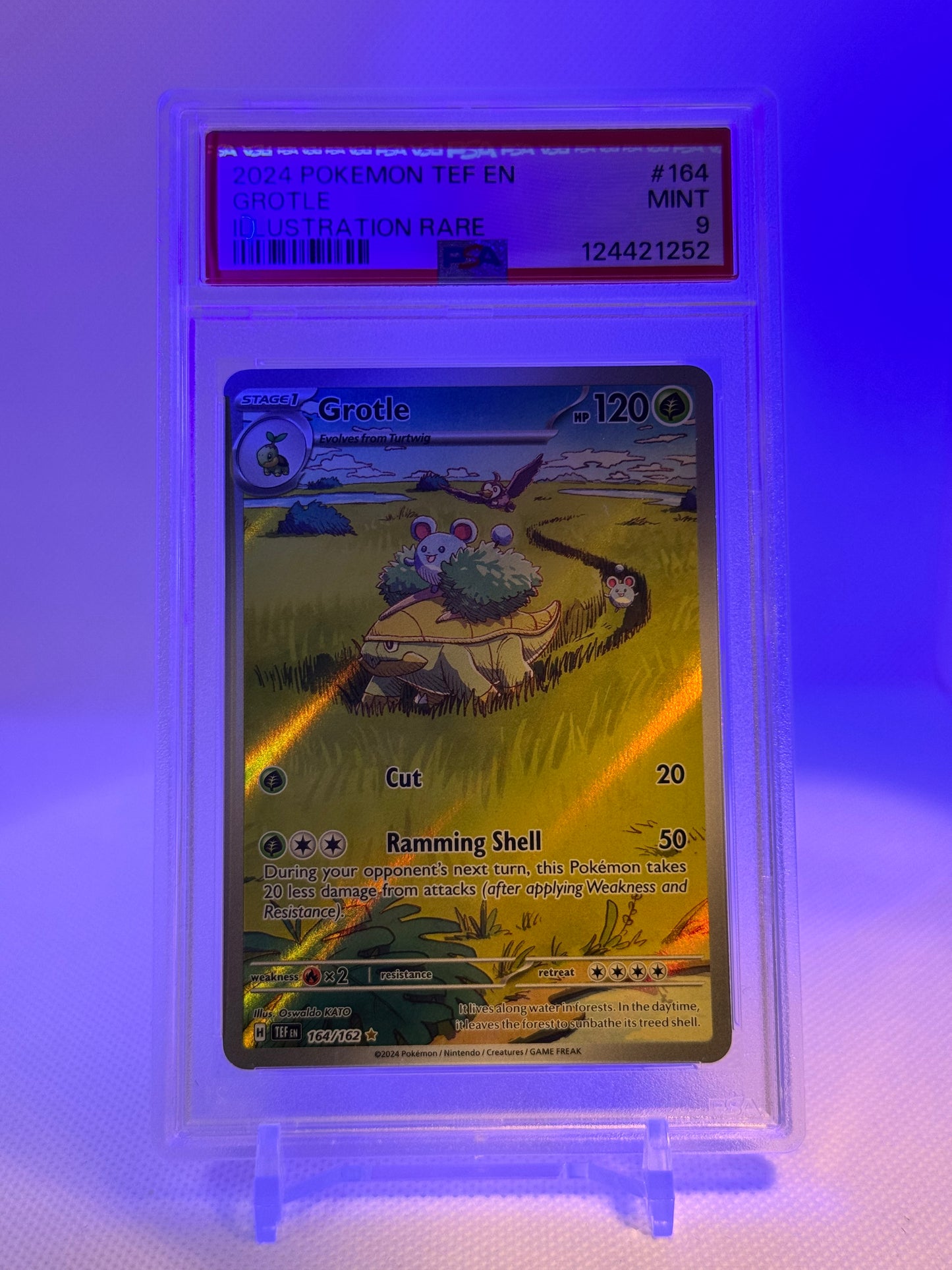 SV Temporal Forces: 164/162 - Grotle (IR) PSA 9